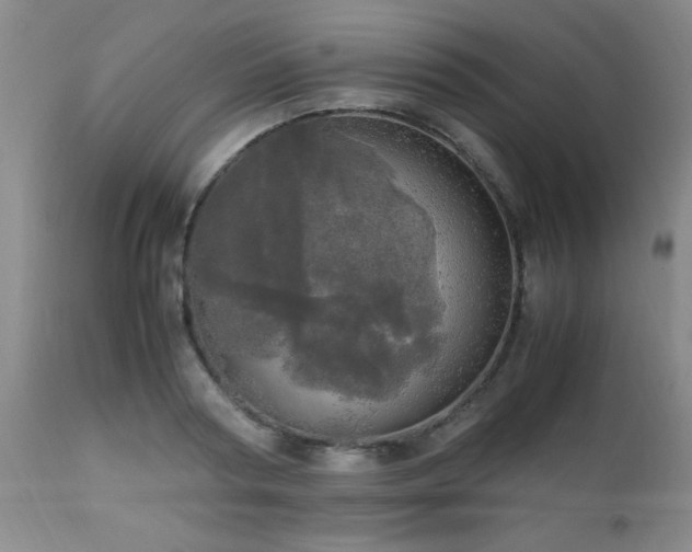 X0000112970794200909031044