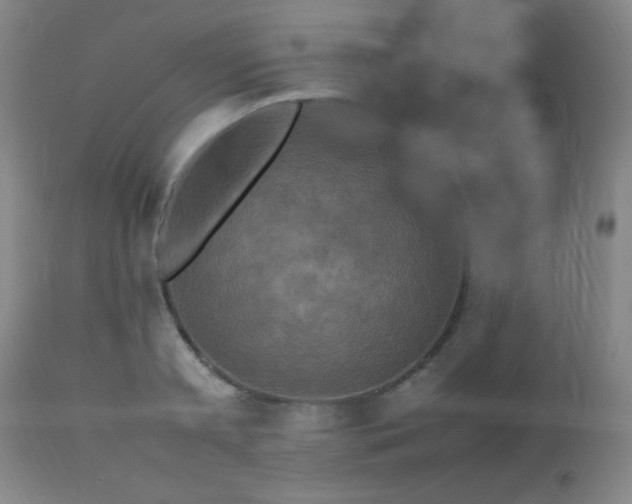 X0000112970797200909031044