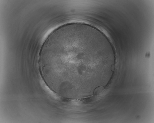 X0000112970799200909031044