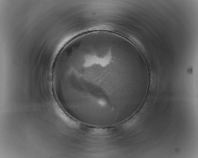 X0000112970800200909031044