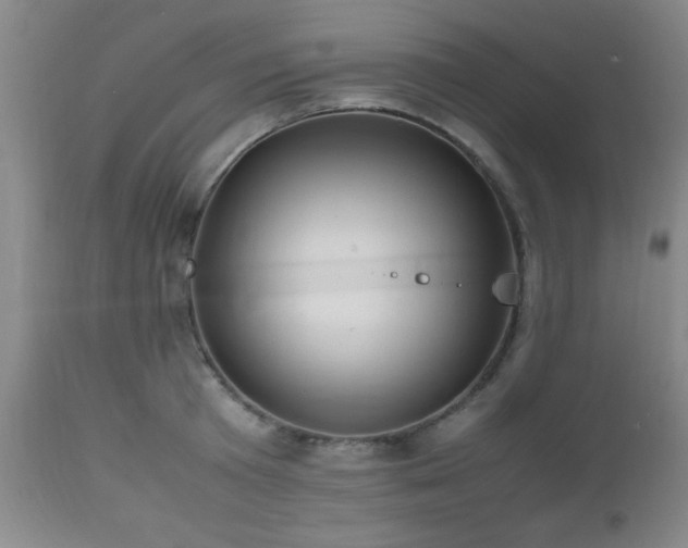 X0000112970801200909031044