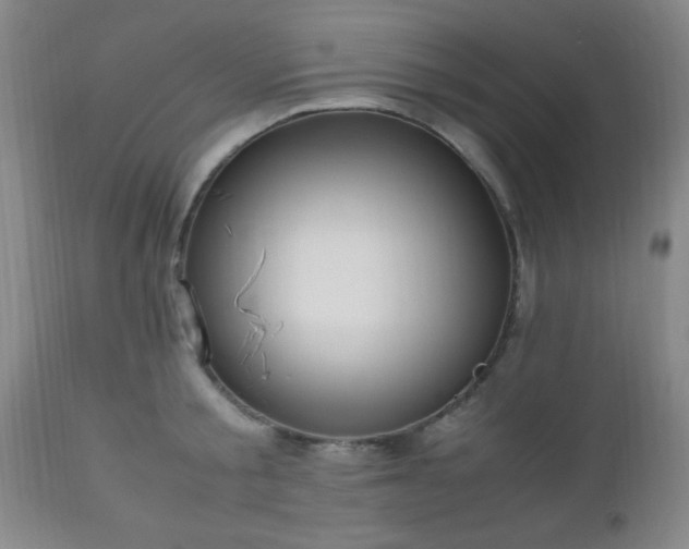 X0000112970805200909031044