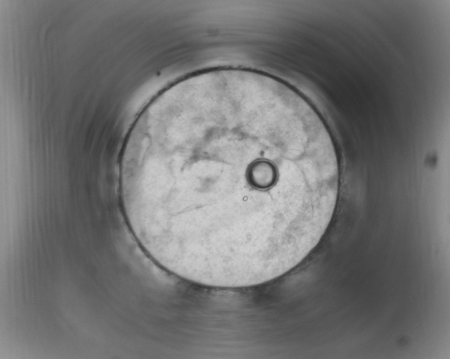 X0000112970807200909031044