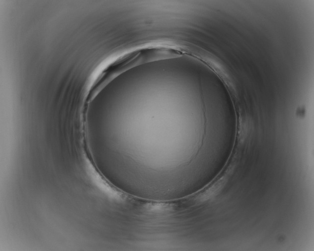 X0000112970808200909031044