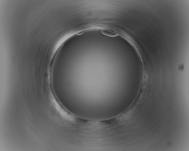 X0000112970811200909031044