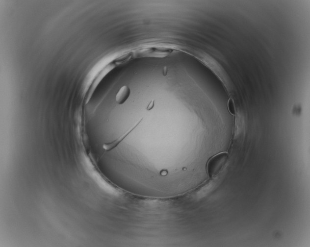 X0000112970812200909031044