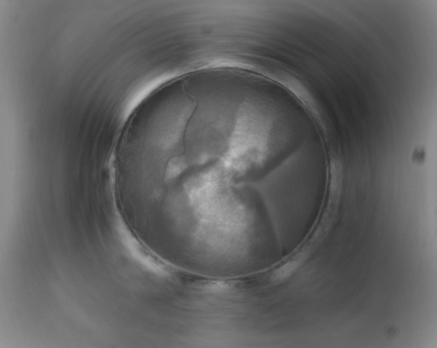 X0000112970814200909031044