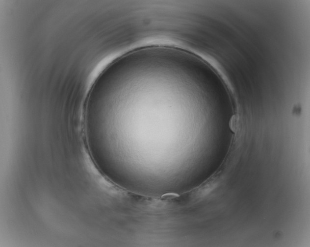 X0000112970815200909031044