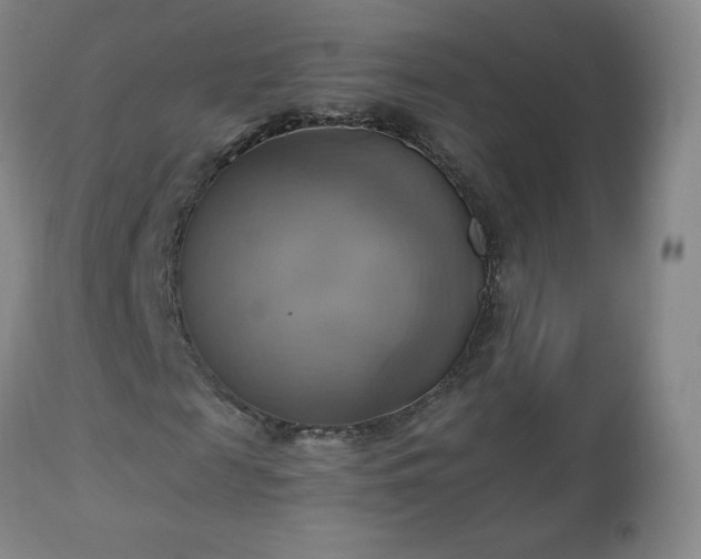 X0000112970817200909031043