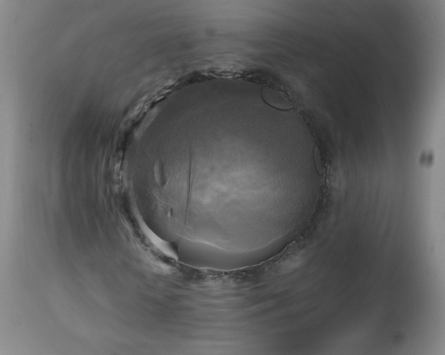 X0000112970818200909031043