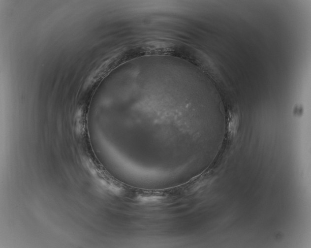 X0000112970819200909031043