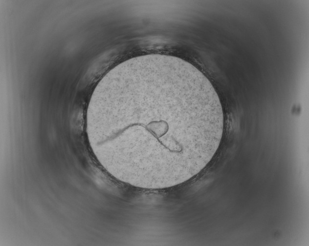 X0000112970820200909031043