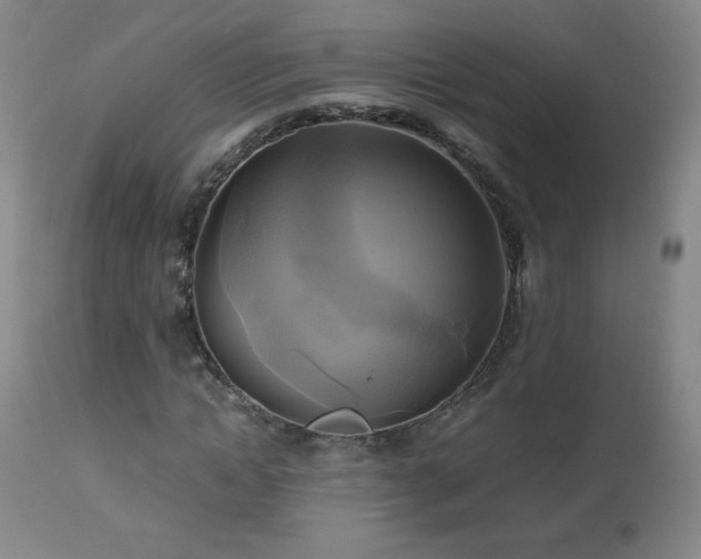 X0000112970822200909031043