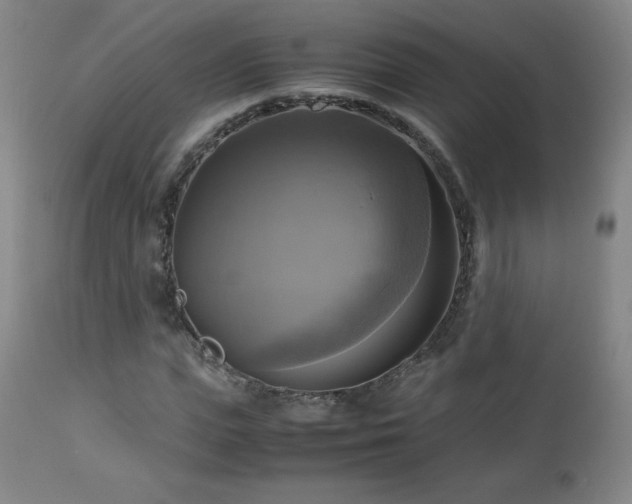 X0000112970823200909031043