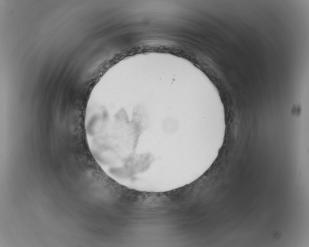 X0000112970824200909031043