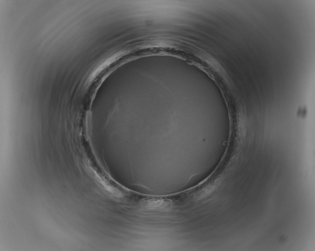 X0000112970826200909031043