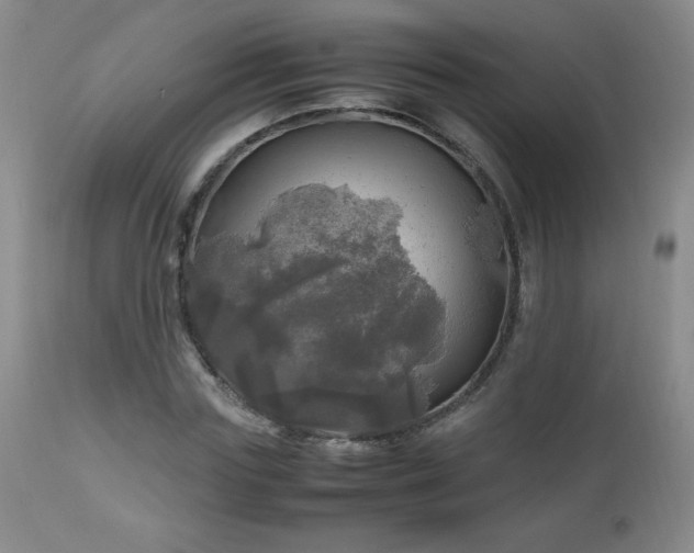 X0000112970827200909031043