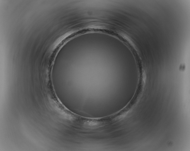 X0000112970829200909031043