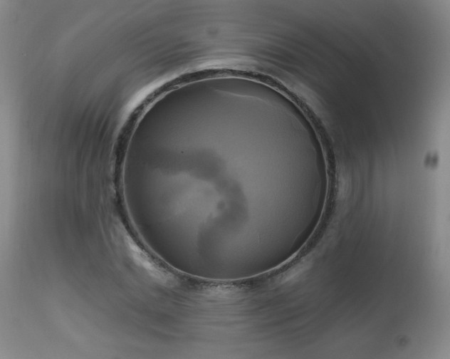 X0000112970830200909031043