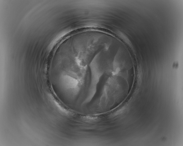 X0000112970831200909031043