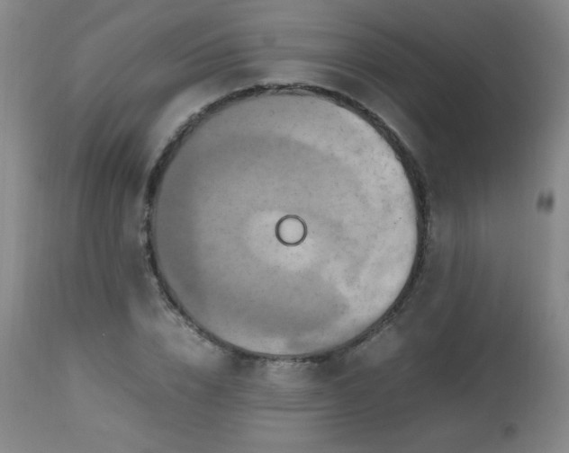 X0000112970832200909031043