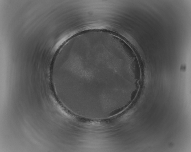 X0000112970834200909031043