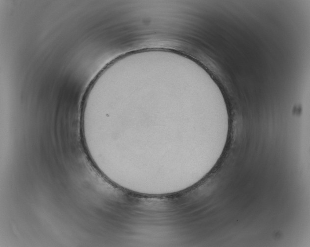 X0000112970836200909031043