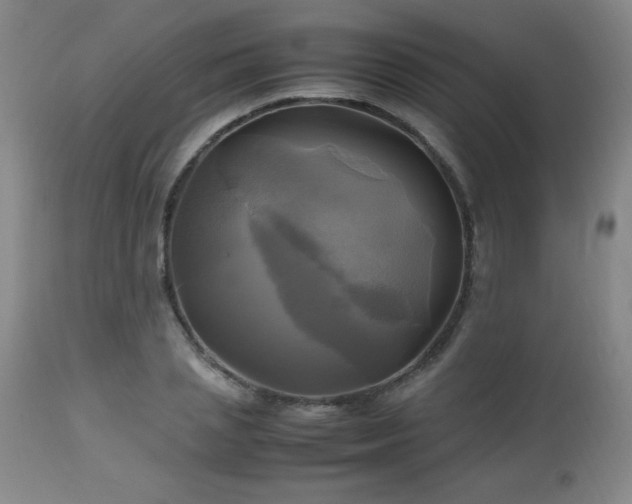 X0000112970837200909031044