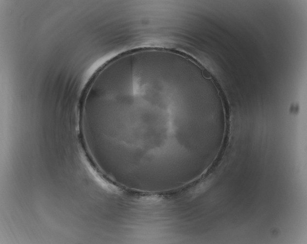 X0000112970838200909031044