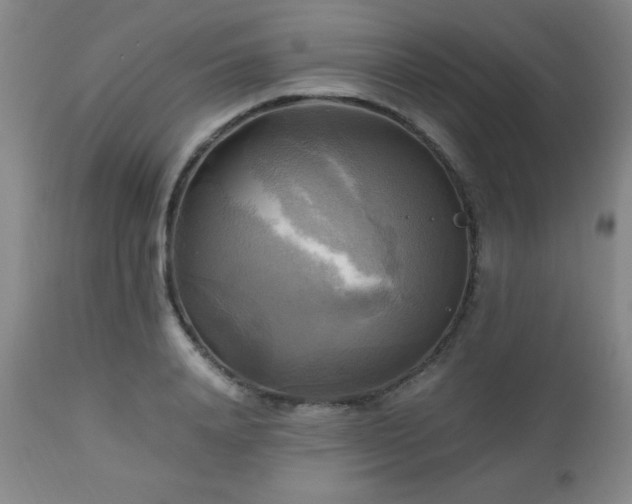 X0000112970840200909031044