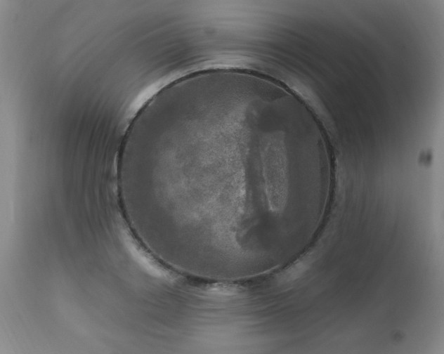 X0000112970842200909031044