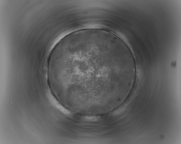 X0000112970843200909031044