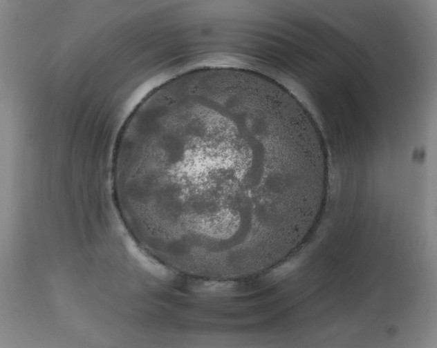 X0000112970845200909031044