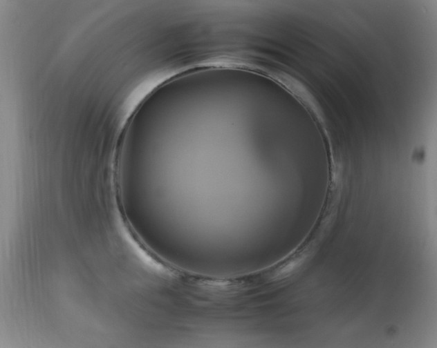 X0000112970855200909031044