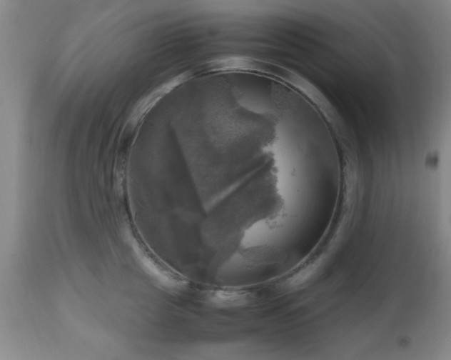 X0000112970857200909031044