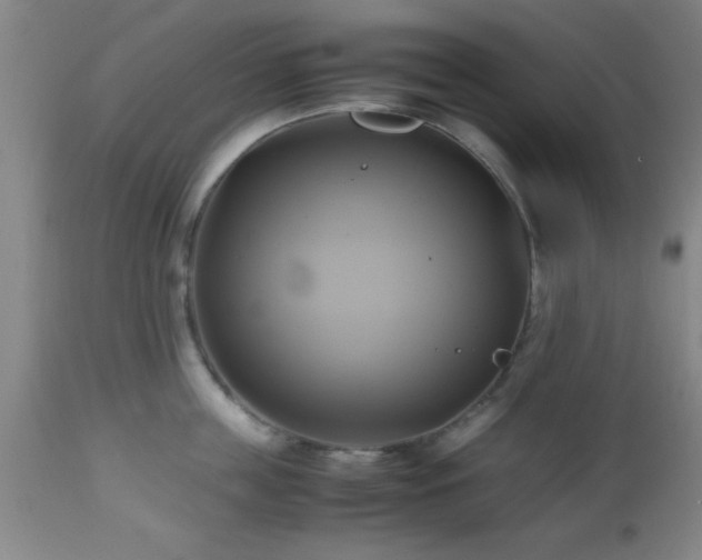 X0000112970859200909031044