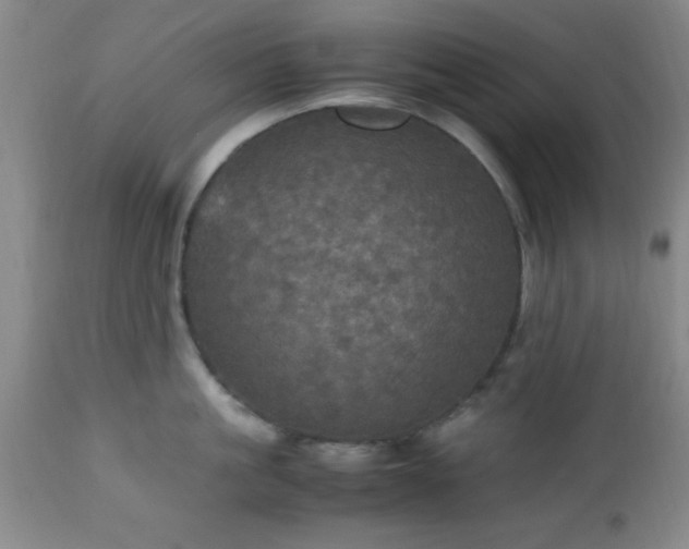 X0000112970861200909031044