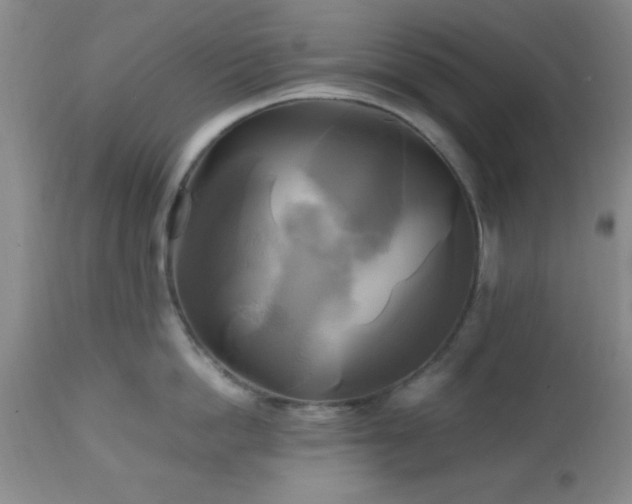 X0000112970862200909031044