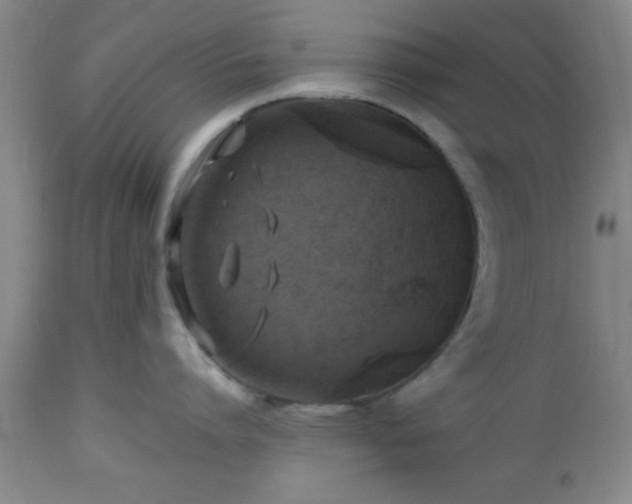 X0000112970864200909031044