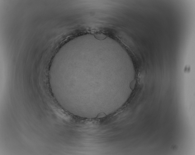 X0000112970865200909031043