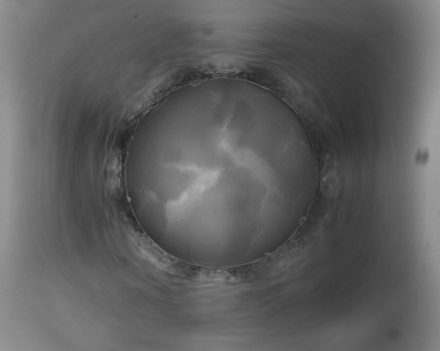 X0000112970866200909031043