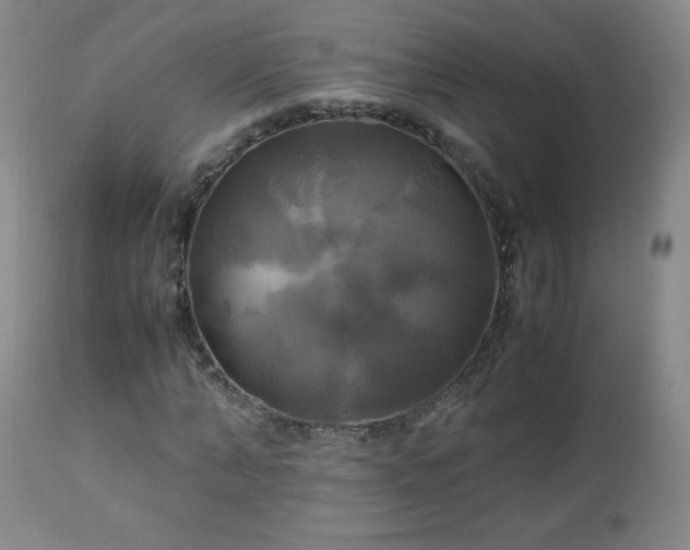 X0000112970870200909031043