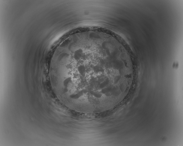 X0000112970871200909031043