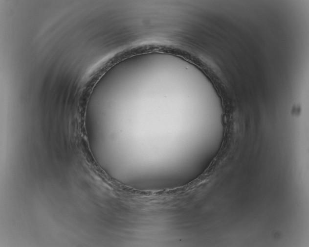 X0000112970872200909031043