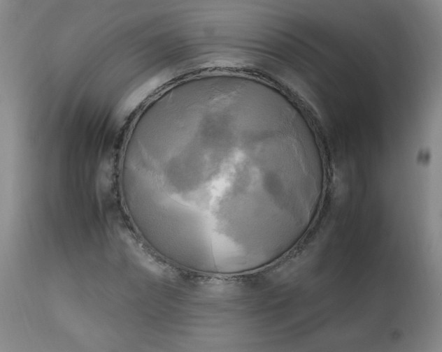 X0000112970874200909031043