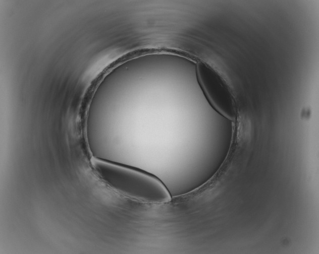 X0000112970876200909031043