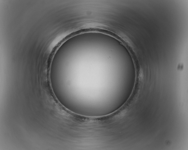 X0000112970877200909031043