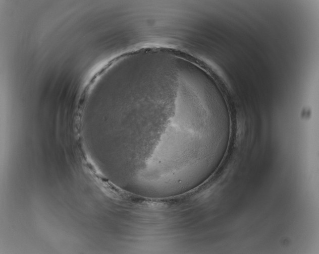 X0000112970878200909031043