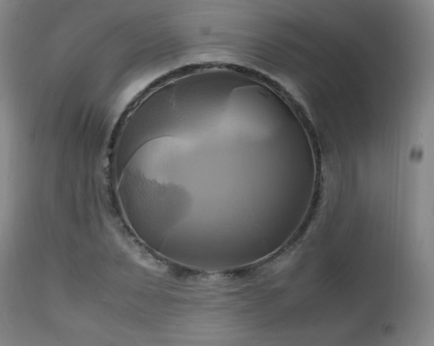 X0000112970879200909031043