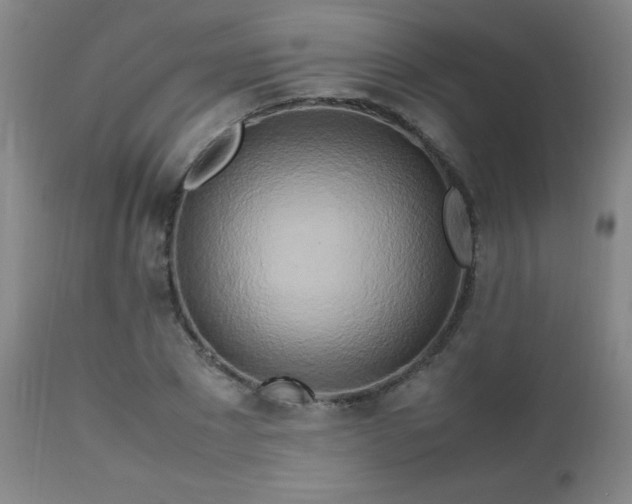 X0000112970881200909031043